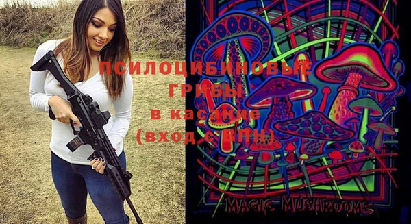 скорость Козельск