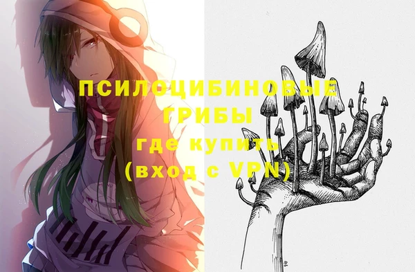 эйфоретик Кодинск