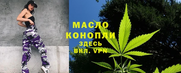 молекула духа Костерёво